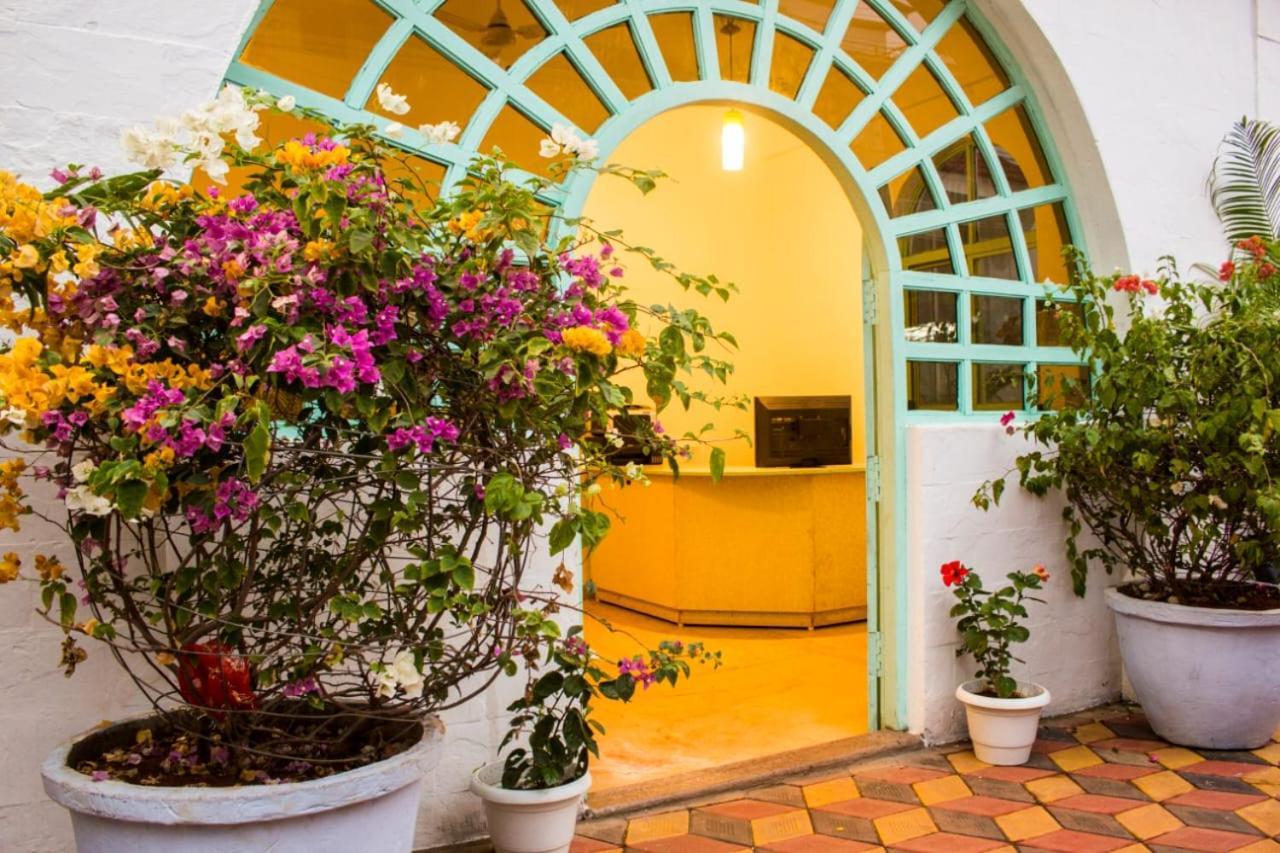 Turquoiise House Hotel Morjim Exterior photo